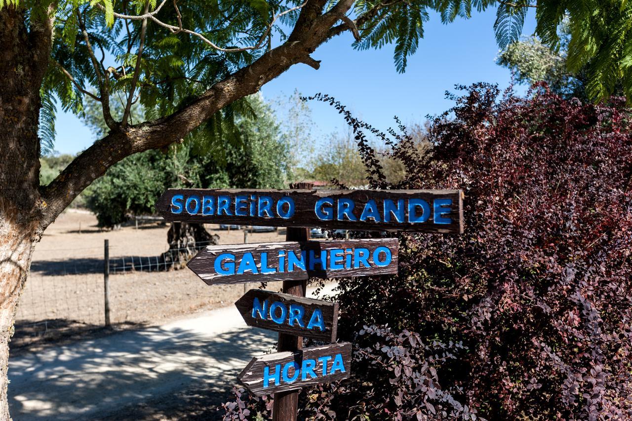 Monte Do Serrado De Baixo Евора Екстериор снимка